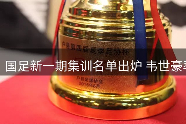 国足新一期集训名单出炉 韦世豪率蓉城七将入选